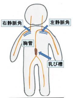 Aブログのイラスト.jpg