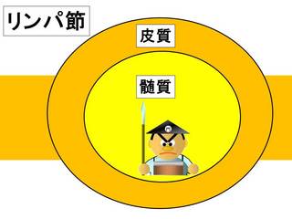 ブログのイラスト.jpg