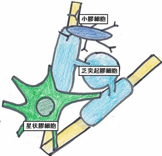 ブログのイラスト.jpg